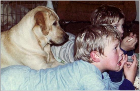 Drycreek Labradors - McKenna and kids
